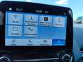 Ford EcoSport Active Grau - thumbnail 15