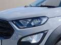 Ford EcoSport Active Grau - thumbnail 5
