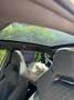 Skoda Scala 1,5l mit Panoramaglasdach und Top-Ausstattung Grau - thumbnail 10