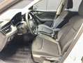 Skoda Kamiq 1.0 TSI Tour RFK AHK Weiß - thumbnail 10