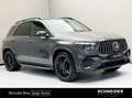 Mercedes-Benz GLE 53 AMG HYBRID 4MATIC+ W-Paket Sportauspuff Grau - thumbnail 1