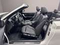BMW 218 Serie 2 F23 Cabrio 218d Cabrio Msport auto my18 Bianco - thumbnail 10