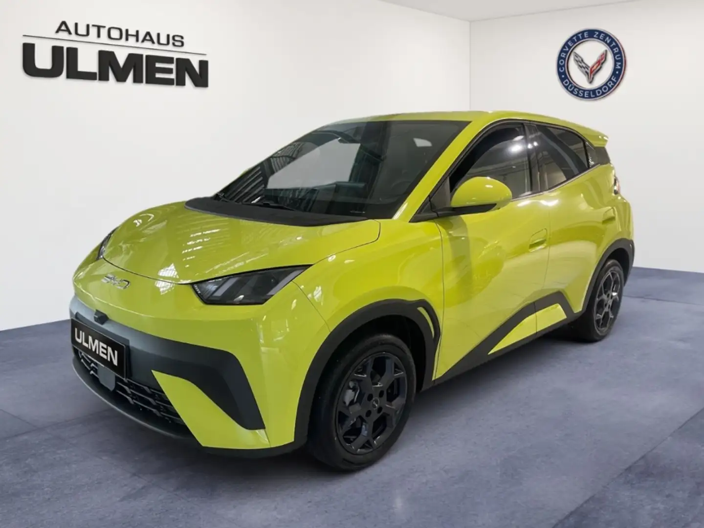 BYD Dolphin 115KW Comfort Leder Navi Sitzheizung DAB+ Soundsys Grün - 2