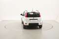 Fiat Panda Hybrid City Life 1.0 Mild Hybrid 70CV Bianco - thumbnail 4