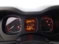 Fiat Panda Hybrid City Life 1.0 Mild Hybrid 70CV Bianco - thumbnail 12