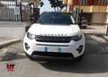 Land Rover Discovery Sport Discovery Sport 2.0 TD4 150 CV HSE Luxury Wit - thumbnail 2