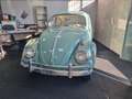 Volkswagen Maggiolino Grün - thumbnail 2