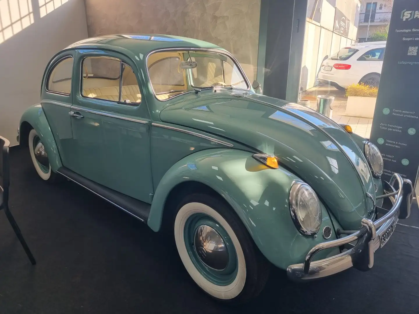 Volkswagen Maggiolino Grün - 1