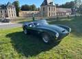 AC Cobra 289 street solide hawck Yeşil - thumbnail 2