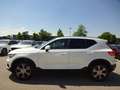 Volvo XC40 B4 Inscription 2WD PANO Navi DAB Weiß - thumbnail 4