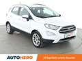 Ford EcoSport 1.0 EcoBoost Titanium Aut.*NAVI*TEMPO*PDC*SHZ* Weiß - thumbnail 8