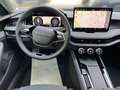 Skoda Superb Combi Selection 2.0 TDI DSG Navi AHK Ergo Gris - thumbnail 12