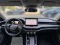 Skoda Superb Combi Selection 2.0 TDI DSG Navi AHK Ergo Gris - thumbnail 14