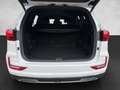 SsangYong Rexton 2,2 e-XDI 4WD Premium Plus Aut. Weiß - thumbnail 13