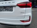 SsangYong Rexton 2,2 e-XDI 4WD Premium Plus Aut. Weiß - thumbnail 12