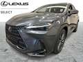 Lexus NX 450h+ Privilege + Sunroof + 4X4 Gri - thumbnail 1