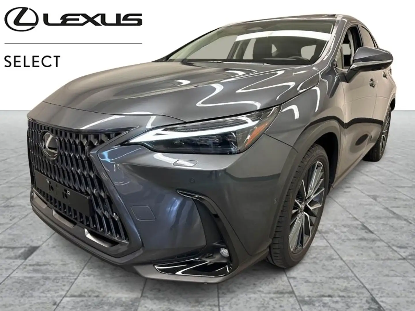 Lexus NX 450h+ Privilege + Sunroof + 4X4 Gri - 1