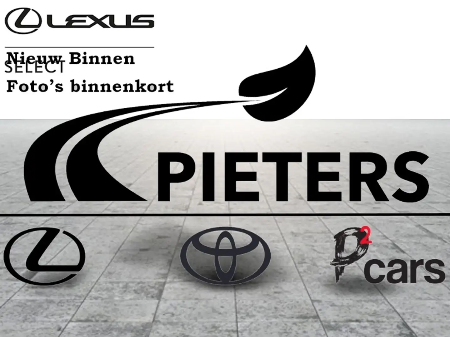 Lexus NX 450h+ Privilege + Sunroof + 4X4 Grijs - 1