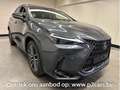 Lexus NX 450h+ Privilege + Sunroof + 4X4 Gri - thumbnail 3