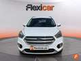 Ford Kuga Trend+ 1.5 EcoBoost 88kW (120CV) 4x2 Blanco - thumbnail 3