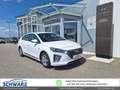 Hyundai IONIQ 1,6 GDi HEV Entry  i0h30t Weiß - thumbnail 1