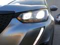 Peugeot 2008 Active Business Grau - thumbnail 20