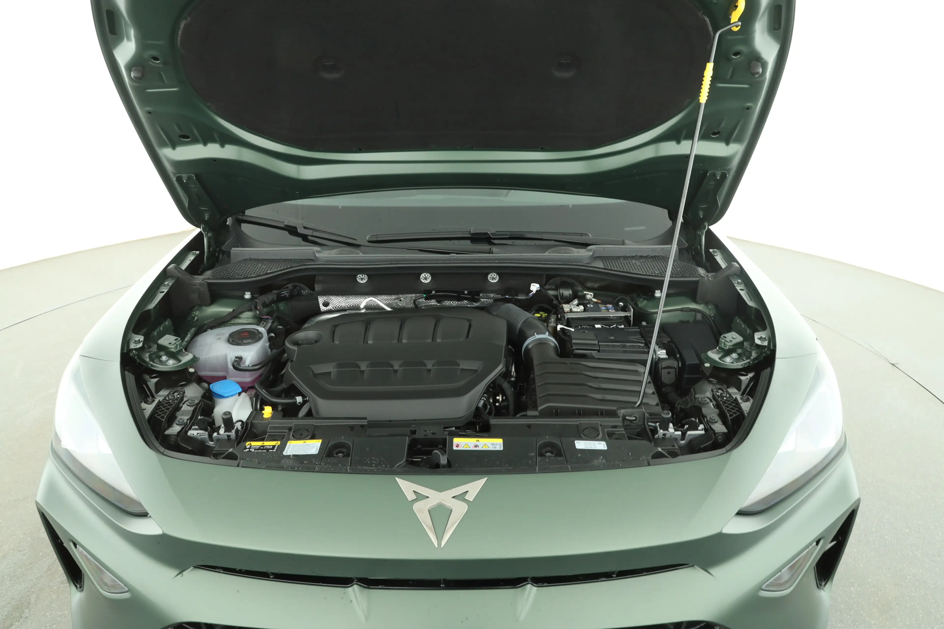CUPRA Formentor 2.0 TSI DSG 4Drive VZ Tribe Edition — photo 12