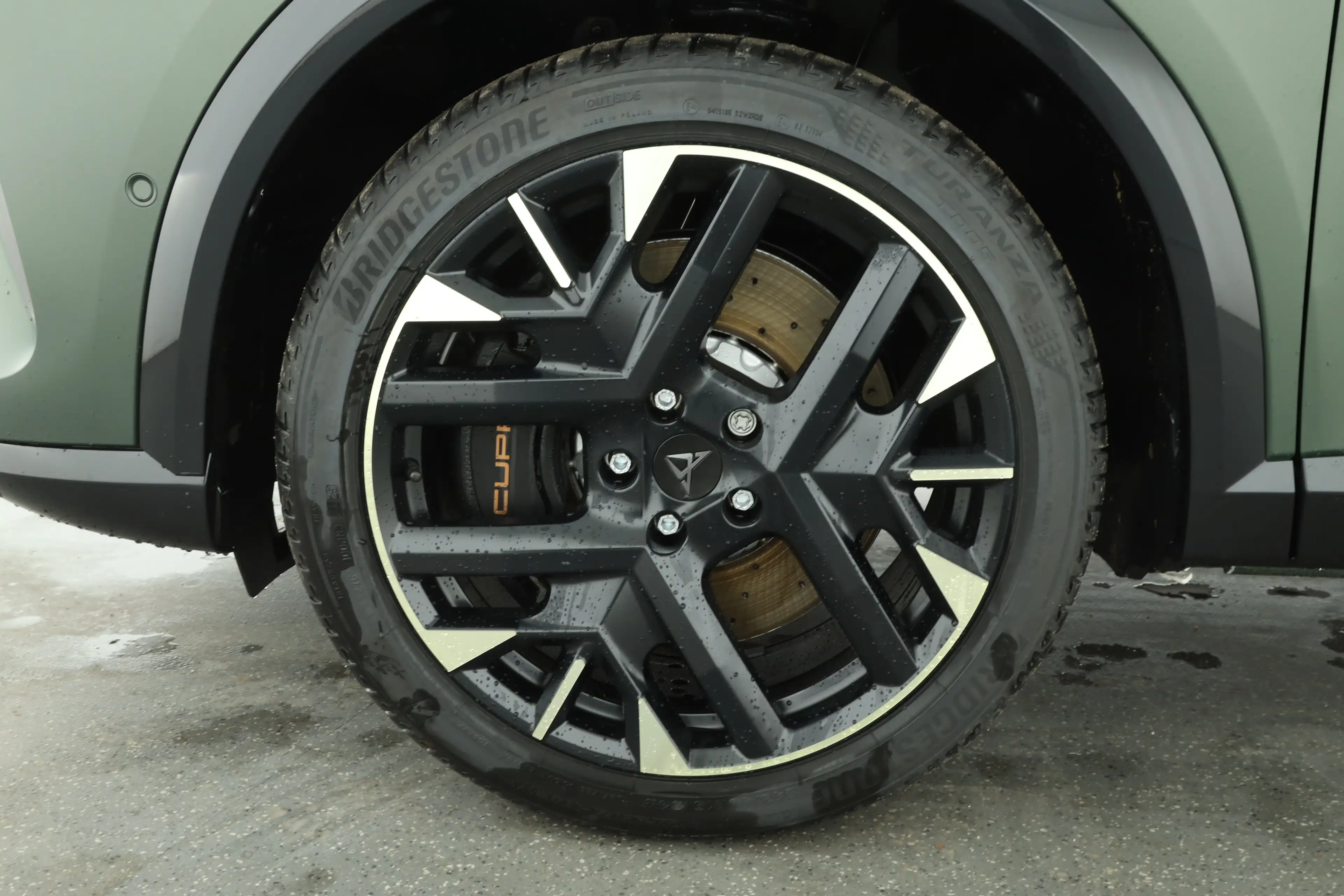 CUPRA Formentor 2.0 TSI DSG 4Drive VZ Tribe Edition — photo 8