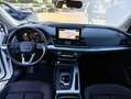 Audi Q5 Q5 40 2.0 tdi mhev Business Adv quattro s-tronic Bianco - thumbnail 10