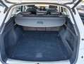 Audi Q5 Q5 40 2.0 tdi mhev Business Adv quattro s-tronic Bianco - thumbnail 13