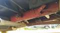 Iveco Daily Motorhome Laika 2.8td EcoVip 100 IVECO SERIE ORO - thumbnail 29