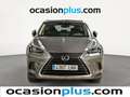 Lexus NX 300 300h Business 2WD Gris - thumbnail 12