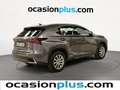 Lexus NX 300 300h Business 2WD Gris - thumbnail 4