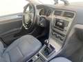 Volkswagen Golf Variant Golf VII Variant 1.6 tdi Business 110cv Blu/Azzurro - thumbnail 8