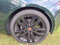 Jaguar F-Type Cabriolet 2.0 Aut. Verde - thumbnail 16