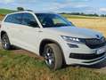 Skoda Kodiaq Kodiaq 1.5 TSI ACT DSG Sportline Grau - thumbnail 6