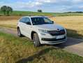 Skoda Kodiaq Kodiaq 1.5 TSI ACT DSG Sportline Grau - thumbnail 10