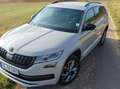 Skoda Kodiaq Kodiaq 1.5 TSI ACT DSG Sportline Grau - thumbnail 4