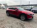 Mazda CX-30 CX-30 2.0 ExclusiveLine Comfort B+Design 150cv 6at Rot - thumbnail 6