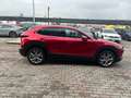 Mazda CX-30 CX-30 2.0 ExclusiveLine Comfort B+Design 150cv 6at Rot - thumbnail 7