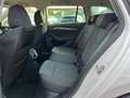 Skoda Octavia Combi 2,0 TDI Style DSG | AHK*ACC Weiß - thumbnail 14