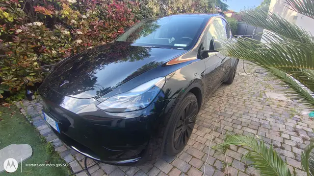 Tesla Model Y Single Motor rwd