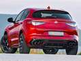 Alfa Romeo Stelvio Stelvio Quadrifoglio 2,9 V6 ATX AWD Quadrifoglio Rot - thumbnail 16