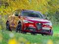 Alfa Romeo Stelvio Stelvio Quadrifoglio 2,9 V6 ATX AWD Quadrifoglio Rot - thumbnail 14