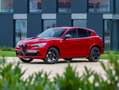 Alfa Romeo Stelvio Stelvio Quadrifoglio 2,9 V6 ATX AWD Quadrifoglio Rot - thumbnail 12