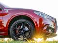 Alfa Romeo Stelvio Stelvio Quadrifoglio 2,9 V6 ATX AWD Quadrifoglio Rot - thumbnail 8