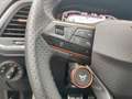 CUPRA Ateca 1.5 TSI DSG *ACC*BEATS*360°*AHK*LED*SHZ* Grau - thumbnail 14
