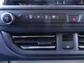 Ford Transit Custom 320 L2H1 Limited AUT behWSS AHK Grau - thumbnail 14