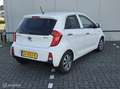 Kia Picanto 1.0 CVVT First Edition Bianco - thumbnail 6