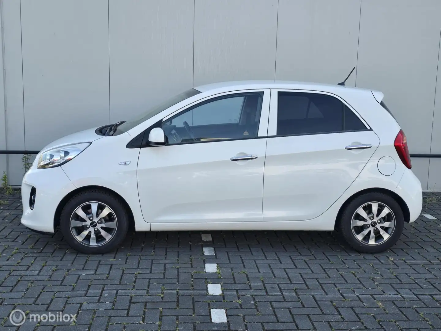 Kia Picanto 1.0 CVVT First Edition Bianco - 2